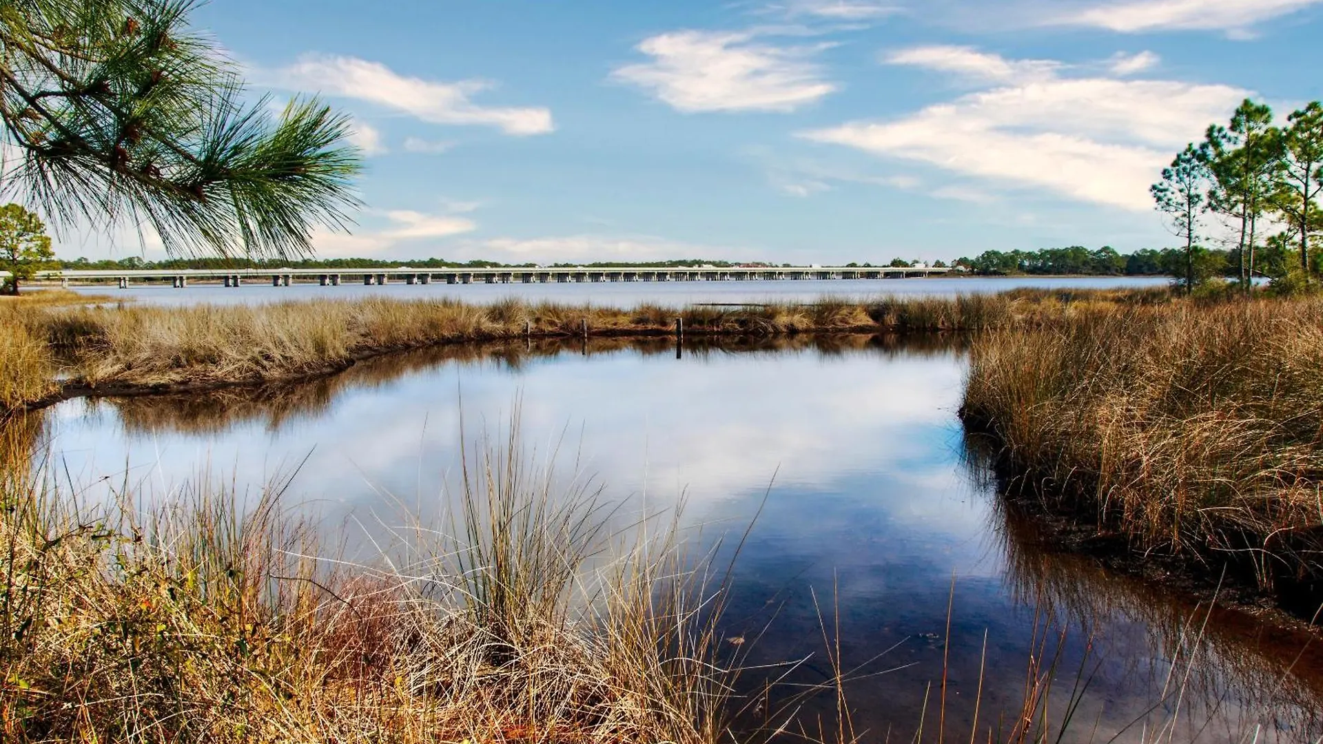 Breezy Beach Panama City Beach Holiday home